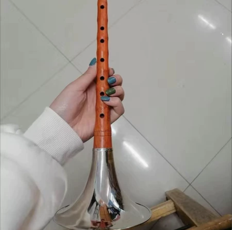 【捡漏】原价179的初学专业演奏级唢呐D调...