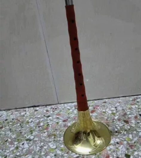包邮初学专业演奏级唢呐D调门齐全红木乌木黑...