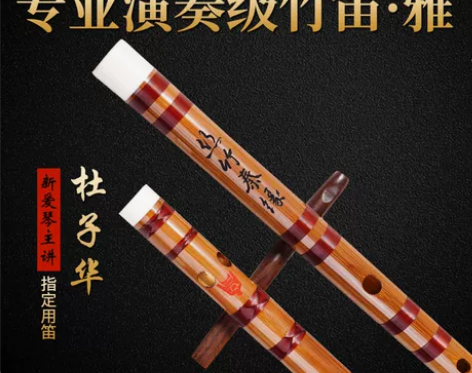 秦音竹笛 雅 杜子华专业笛子初学成人苦竹笛...