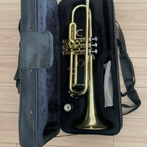 名牌铜号，带原包装盒 学校安排的学习任务，...