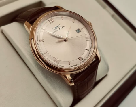 罗宾尼正品牌男士机械手表男全自动表真皮带防...