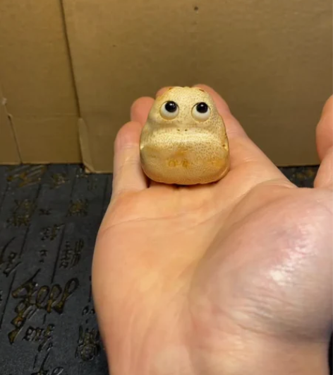 高工纯手工竹根雕霸王龙金蟾，难得之作，看好...