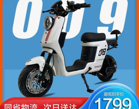 深远009款三代外卖通用电动自行车新国标牌...