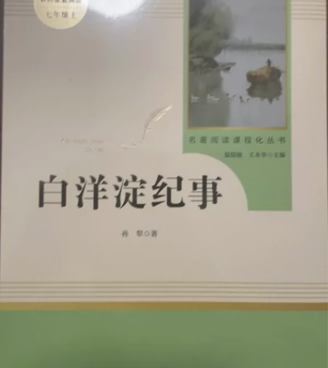 白洋淀纪事 全新 感兴趣的话点“我想要”和...