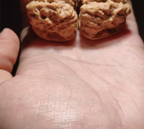 八腿45大立体蛙【A881】 腿型蟾形很明...