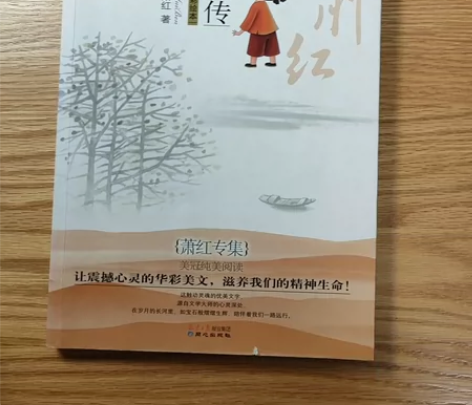 呼兰河传(萧红专集经典彩绘本)/美冠纯美阅...