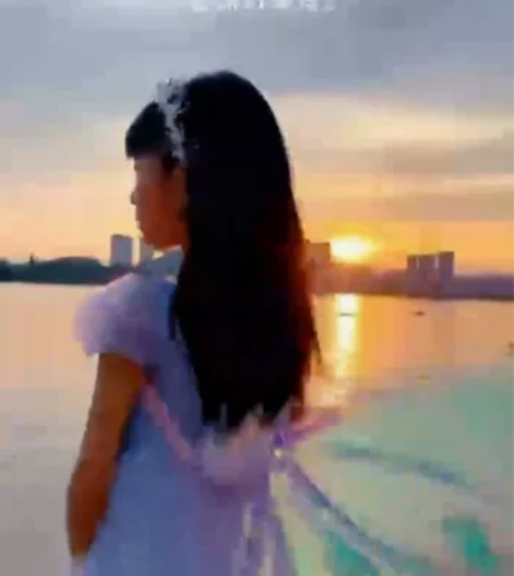 全新儿童精灵羽翼 翅膀可以动 可以发亮 专...