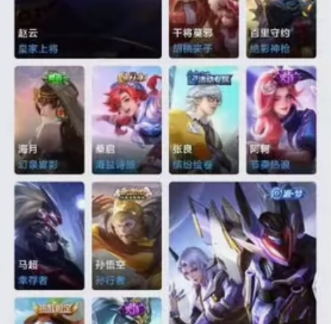 有孙行者 云鹰飞将 飞衡 安卓Q区 皮肤还...