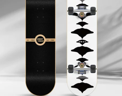 滑板初学者专业板儿童成人双翘四轮运动10到...