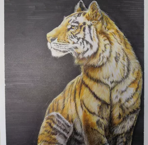 代画素描（静物头像石膏像） 彩铅（动漫 人...