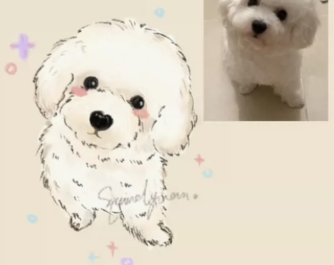 约稿|宠物头像来图定制  毛孩子头像 白菜...