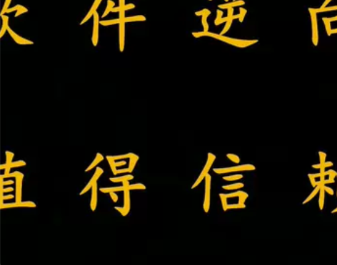 软件逆向软件解密卡密网络验证脱壳脚本vmp...