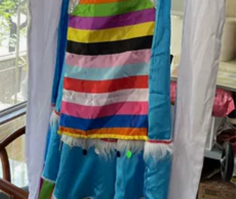 藏族舞蹈演出服装女成人+水袖演出服长裙广场...