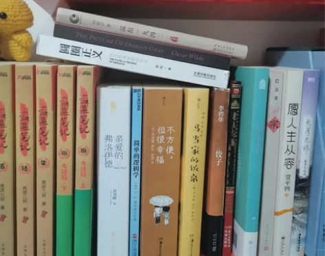 闲置书二手书心理学解压人生感悟逻辑学历史小...