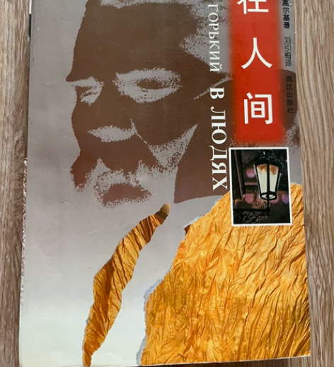 闲置书籍《在人间》，《十宗罪》，八成新，售...