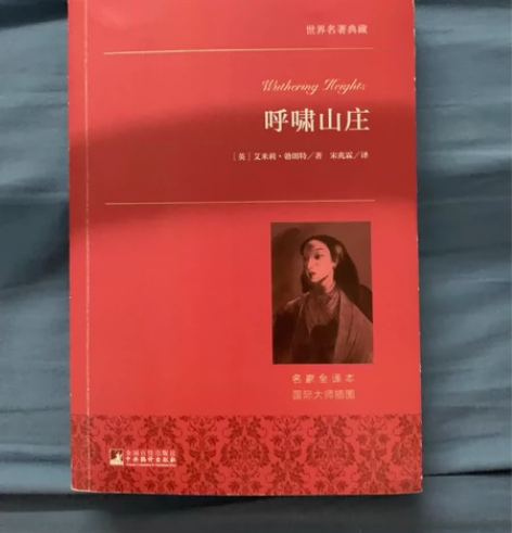 呼啸山庄 全新 包邮可直拍¥13