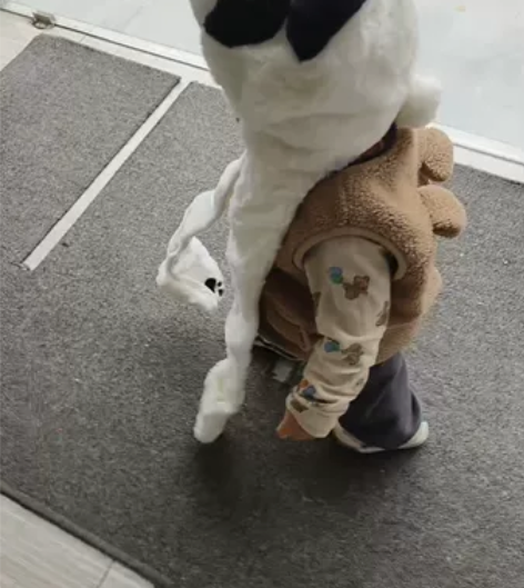可爱玩偶毛绒熊猫帽子8个 熊猫衣服两件,一...