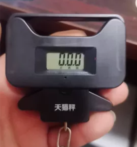 手提秤50KG电子秤家用吊钩精准称重100...