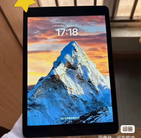 （便宜出）ipad苹果平板2019款 pr...