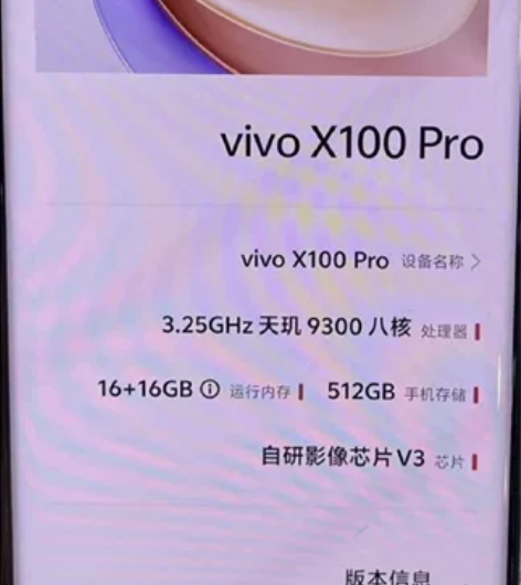 vivoX100pro  16+512G ...