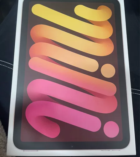 99.99新ipad mini6，256g...