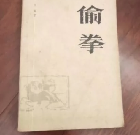 卡片收藏现货/偷拳中国拳法武术传武功书籍 ...