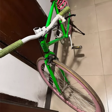 死飞自行车 一切都好 感兴趣的话点“我想要...