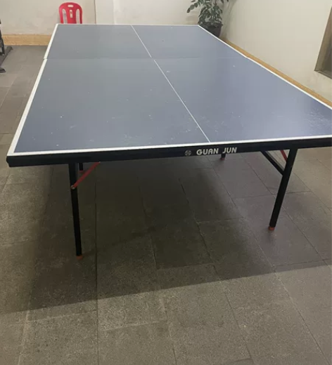 闲置冠军牌乒乓球桌，带网，乒乓球?，低价出...