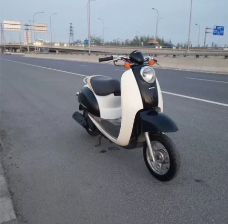 本田小龟， 感兴趣的话点“我想要”和我私聊...