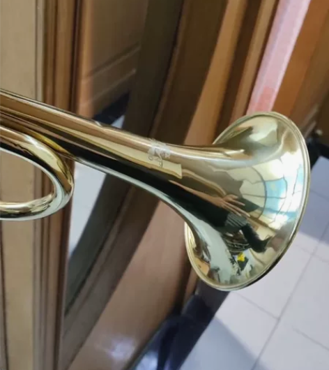 初中学生用小号，乐魅 小号乐器喇叭铜号管乐...