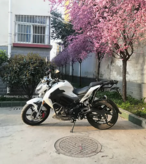 20款贝纳利小迅龙150s摩托车，液晶表、...