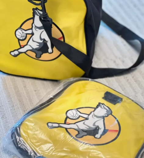 全新未拆 专业篮球球包 动因体育全新球包?...