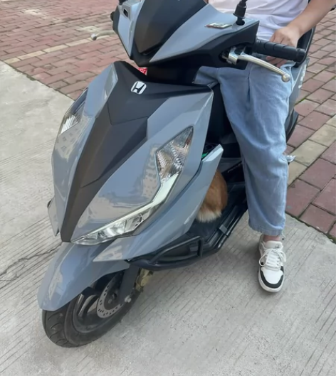 本田nx125 4500公里 前年12月购...