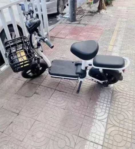 要回家过年了  明年不来了  闲置电动车一...