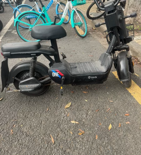 个人闲置 台铃电动车； 只在校园里骑行，使...