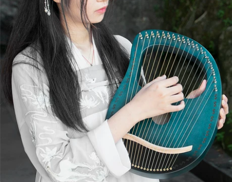 莱雅琴男女初学者16弦小众乐器原木19弦小...