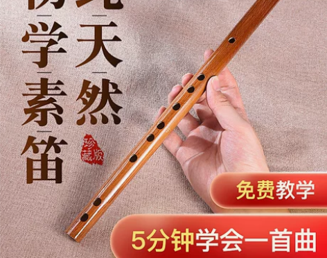 古风初学苦竹笛子素短笛成人零基础F调随身儿...