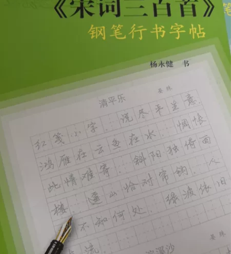 全新 宋词三百首 钢笔行书字帖 感兴趣的话...