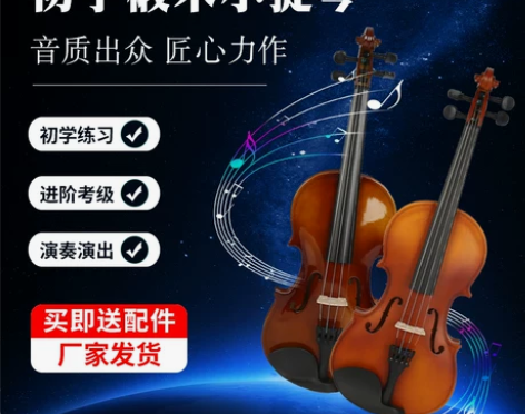 初学者小提琴成人儿童入门练习小提琴自学全套...