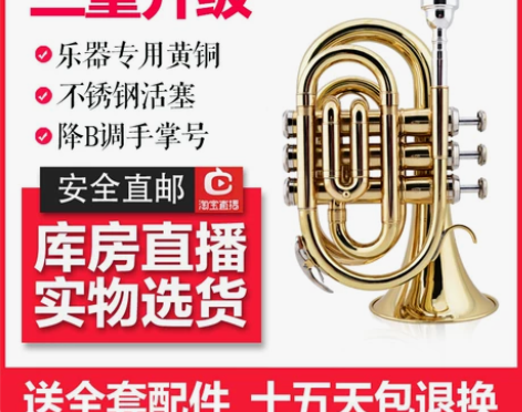 爵士朗手掌号便携式小号初学演奏通用降B调袖...