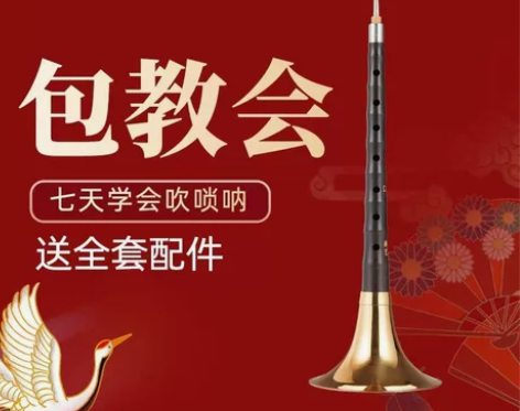 新艺演奏专业乌木唢呐乐器全套d调D调初学者...