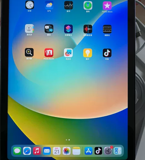 ipad air5 紫色 64g 99成新...