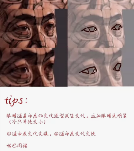 【美术辅导、解答】 [闪亮]素描水粉速写马...