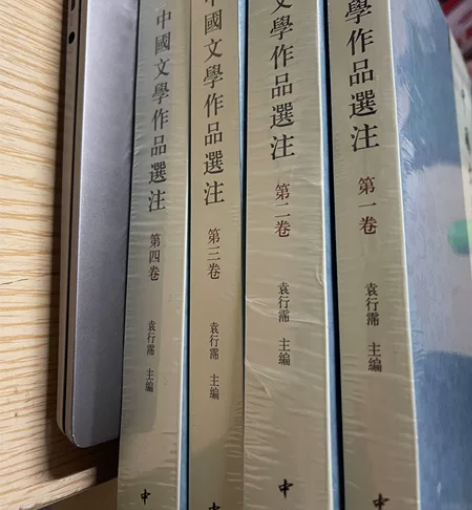中国文学作品选注 袁行霈 全新未撕包装