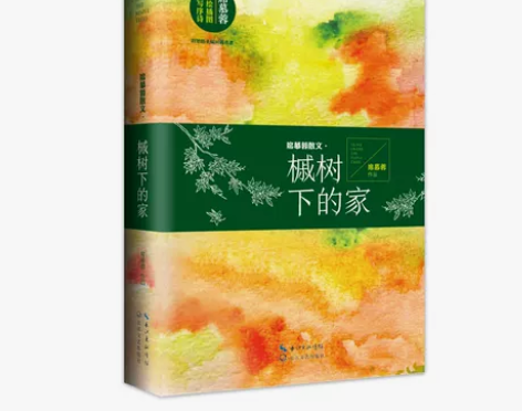 槭树下的家 席慕容散文 正版 书籍 新华书...