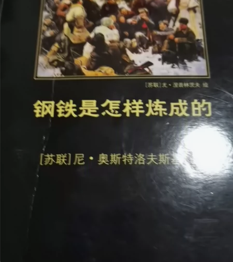钢铁是怎样炼成的  苏联作家尼·奥斯特洛夫...