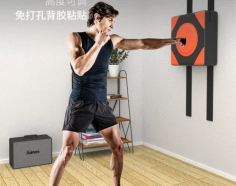 ?墙靶拳击靶家用散打拳击的拳靶沙袋沙包挂墙...