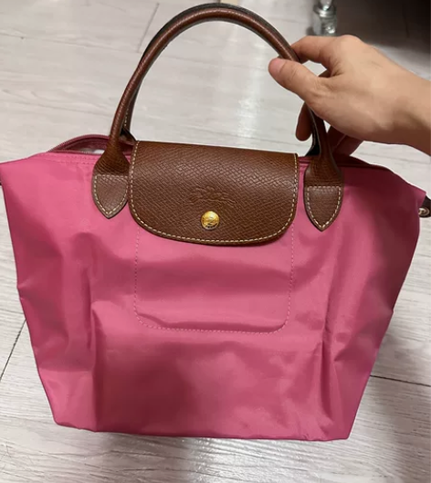 珑骧Longchamp小号短柄尼龙饺子包手...