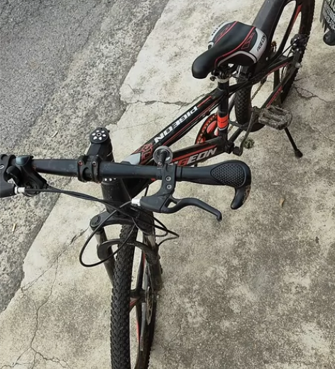 中国飞鸽大童山地自行车，不能正常骑行了。不...