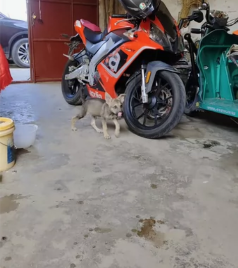 17年阿普利亚125 有划痕 可以过户 可...